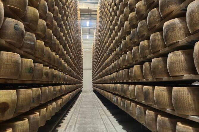 From Bologna: Parmesan Cheese & Balsamic Vinegar Tour+Lunch - A Half-Day Food Mission: Parmigiano Meets Black Gold