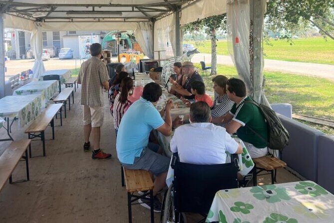 From Bologna: Parmesan Cheese & Balsamic Vinegar Tour+Lunch - Stop 1 Near Bologna: Dairy Farm Viewing and a Taste-Forward Start
