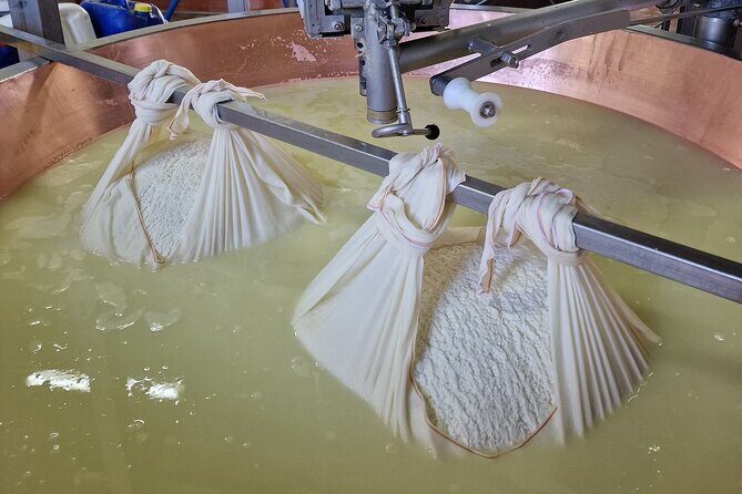 From Bologna: Parmesan Cheese & Balsamic Vinegar Tour+Lunch - Small Group Comfort: The Max 8 Advantage