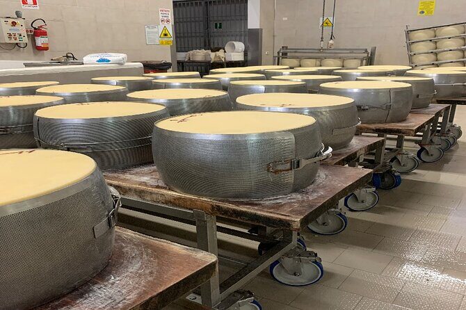 Full Day Super Cars, Parmesan, Balsamic Tour w/Light Lunch - Modena acetaia and balsamic pairing lunch: the “black gold” lesson