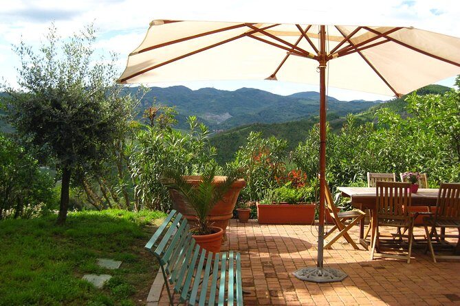Lezione con Chef di Cucina Tradizionale Bolognese - The garden-to-table tasting: how the evening runs
