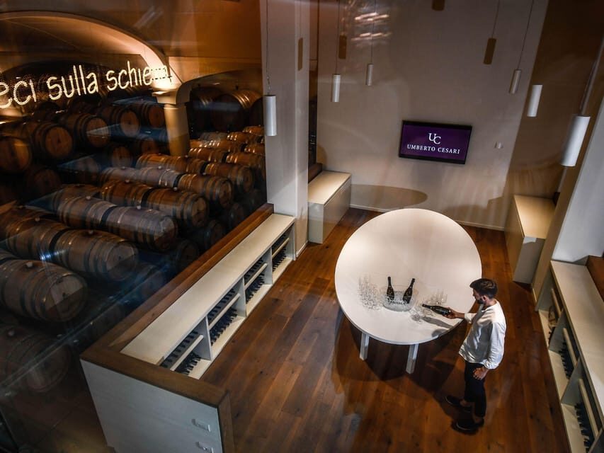 Luxury Wine Tasting with Food Pairing near Bologna - Key highlights you’ll care about