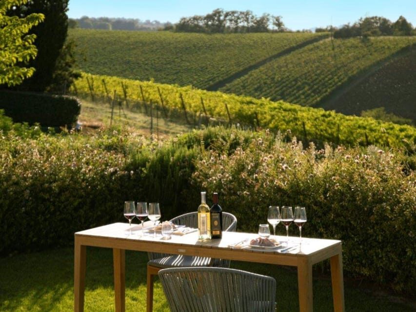 Luxury Wine Tasting with Food Pairing near Bologna - Castel San Pietro Terme and the Umberto Cesari meeting point