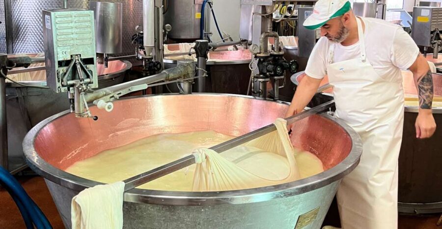 Modena/Bologna: Ferrari, Lambo, Cheese, Vinegar Tour w/Lunch - Parmigiano Reggiano Dairy: From Milk to Aging Flavors