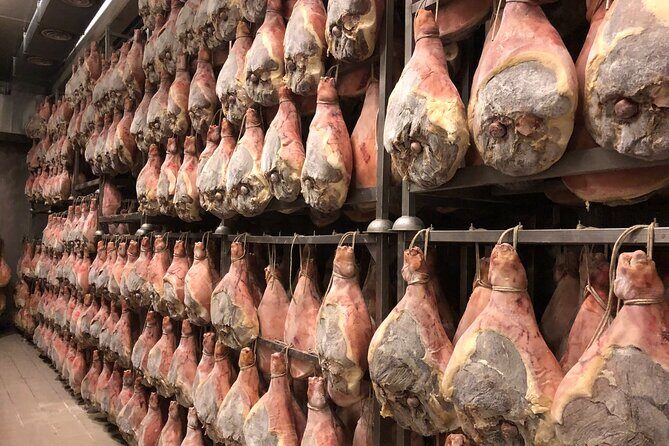 Modena Food:Prosciutto,Parmigiano,Balsamic,Wine,Lunch,Transport - Modena and Bologna in One Long, Food-Heavy Day