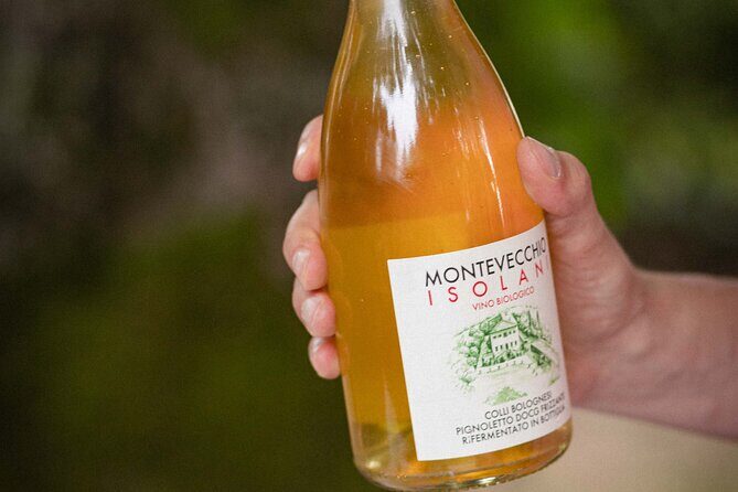 Montevecchio Isolani wine tasting experience - The tasting portion: snacks, questions, and real bottles