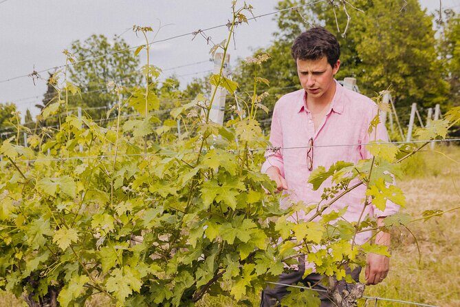 Montevecchio Isolani wine tasting experience - Maria and Pepo: the human touch that makes the hour-and-a-half work