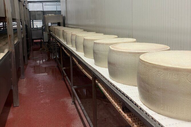Parmesan and Balsamic Food Tour with Ferrari Museum - Maranello Ferrari Museum: quick, self-paced, and perfect for car fans