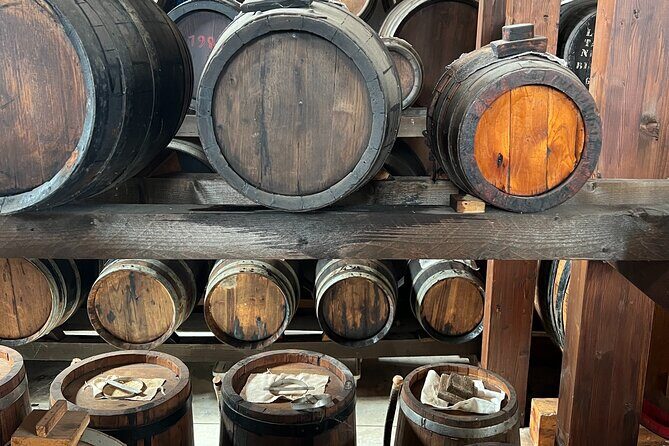 Parmesan and Balsamic Food Tour with Ferrari Museum - Getting good value: how to decide if this fits your Bologna trip