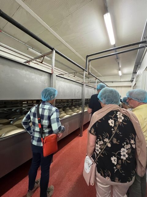 Parmesan and Balsamic Food Tour with Ferrari Museum - Van comfort and timing: how to make the 6-hour plan feel easy