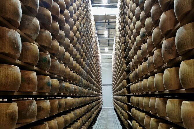 Parmigiano Wine and Balsamic Vinegar Experience from Bologna - Key reasons this trip is worth your morning