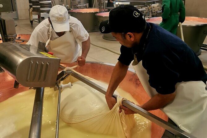 Parmigiano Wine and Balsamic Vinegar Experience from Bologna - Why this Bologna day trip works when you don’t have a car