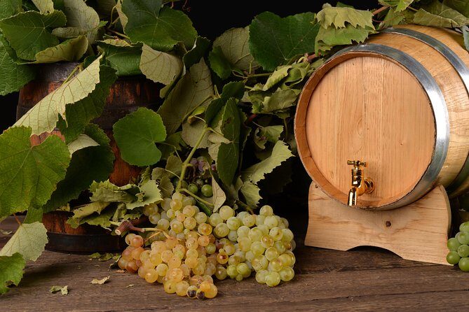 Private Day Tour & Lunch: Parmesan, Wine, and Vinegar Tasting - Price and Value: Is $222.26 Per Person Really Worth It?