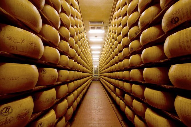 Private Emilia Romagna Food Tour Full Day - Tenuta Medici Ermete and Traditional Balsamic Vinegar PDO