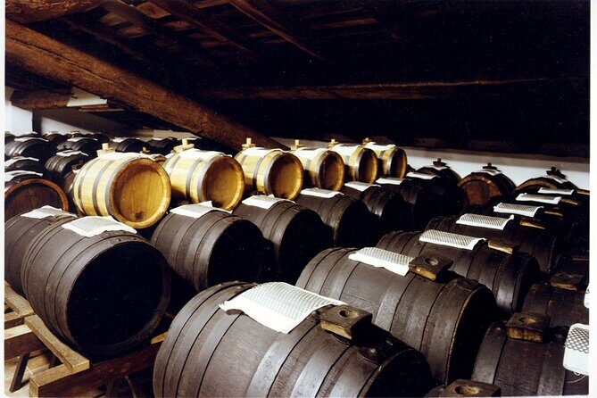 Private Tour in Historical Vinegar and Ferrari Museum - Modena’s Historic Vinegar Stop: The Tasting People Remember