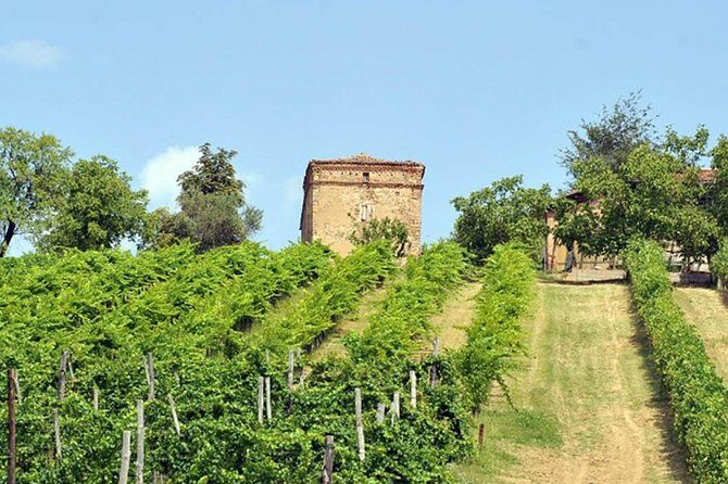 Wine experience Bologna hills - Key Highlights Worth Knowing