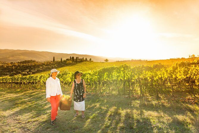 Wine experience Bologna hills - First Taste of the Bologna Hills From Your Hotel