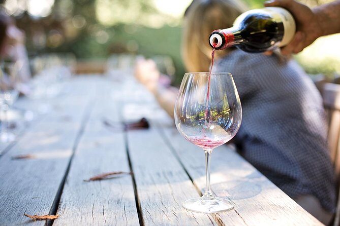 Wine experience Bologna hills - Two Historic Cellars: What You’ll Do Before You Sip