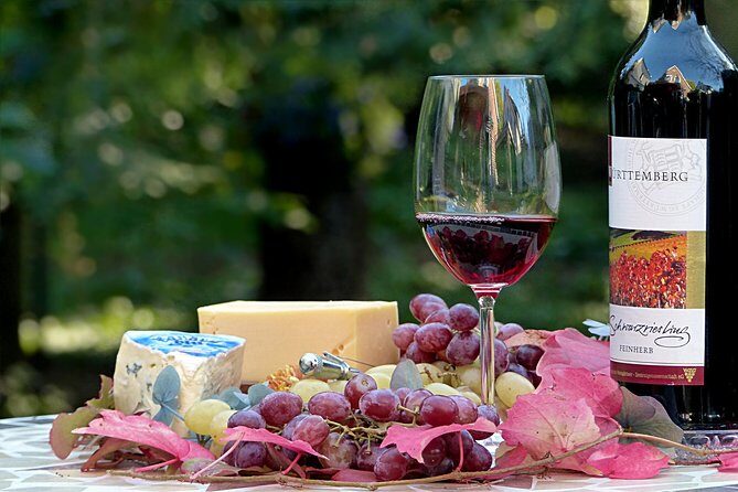 Wine experience Bologna hills - Tastings With Traditional Foods: Lambrusco Lessons Included